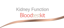 Load image into Gallery viewer, Kidney Function
